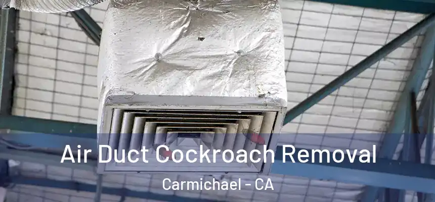 Air Duct Cockroach Removal Carmichael - CA