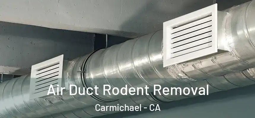 Air Duct Rodent Removal Carmichael - CA