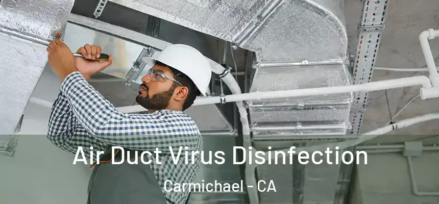  Air Duct Virus Disinfection Carmichael - CA