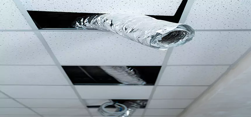 Affordable HVAC Sanitizing After Pest Removal in Carmichael