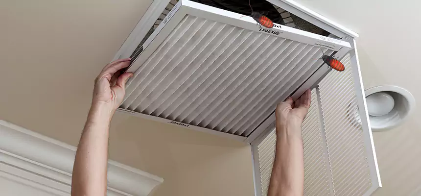 Our Insect Removal from Air Ducts Services in Carmichael, CA