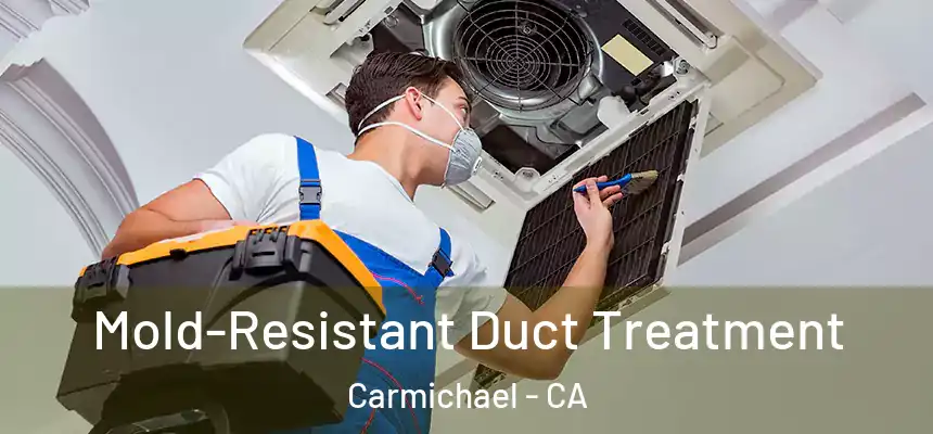  Mold-Resistant Duct Treatment Carmichael - CA