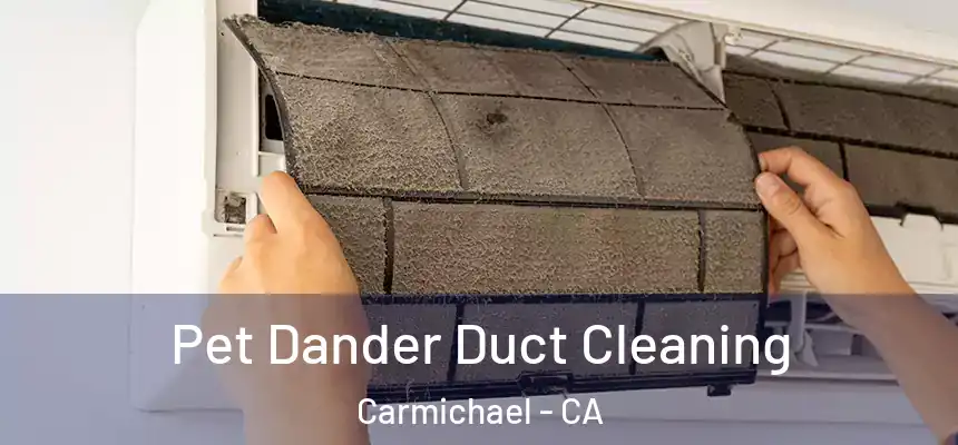 Pet Dander Duct Cleaning Carmichael - CA