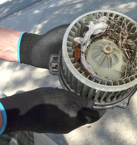 About Air Duct Mice Removal in Carmichael, CA