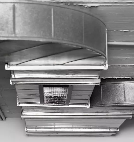 Professional Air Duct Pest Removal in Carmichael, CA