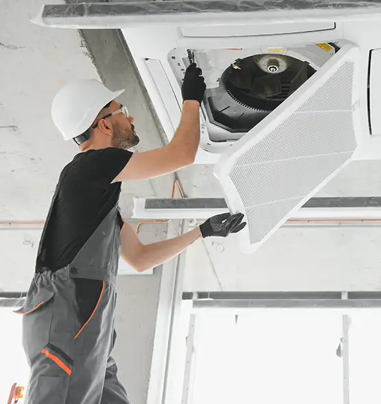 About Air Duct Rodent Removal in Carmichael, CA