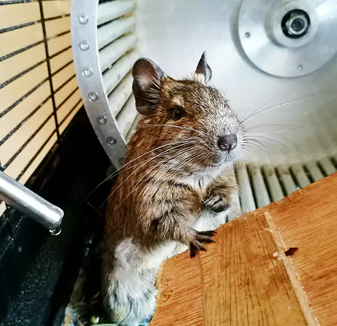 Why Homeowners & Businesses Trust Us Carmichael, CA?