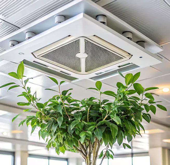 Why Homeowners & Businesses Trust Us in Carmichael, CA?