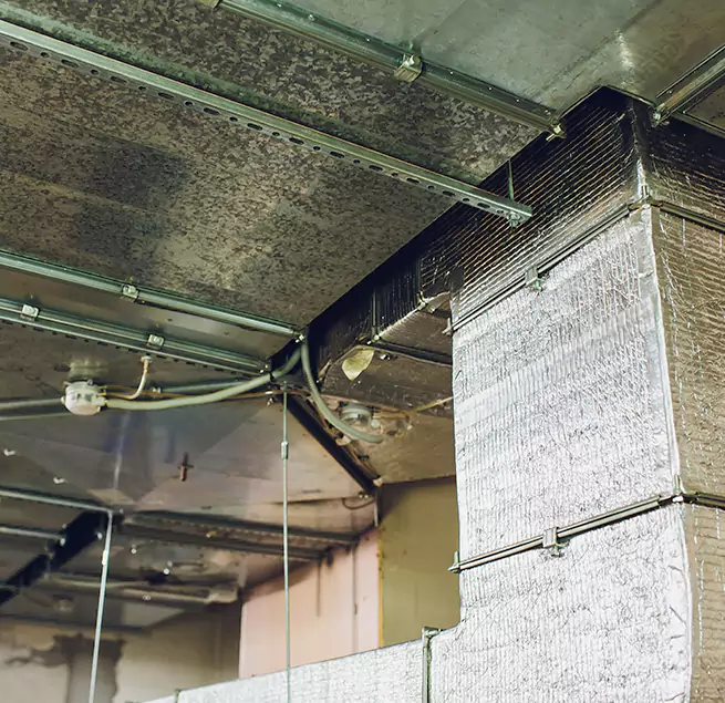 Why Homeowners & Businesses Trust Us in Carmichael, CA?